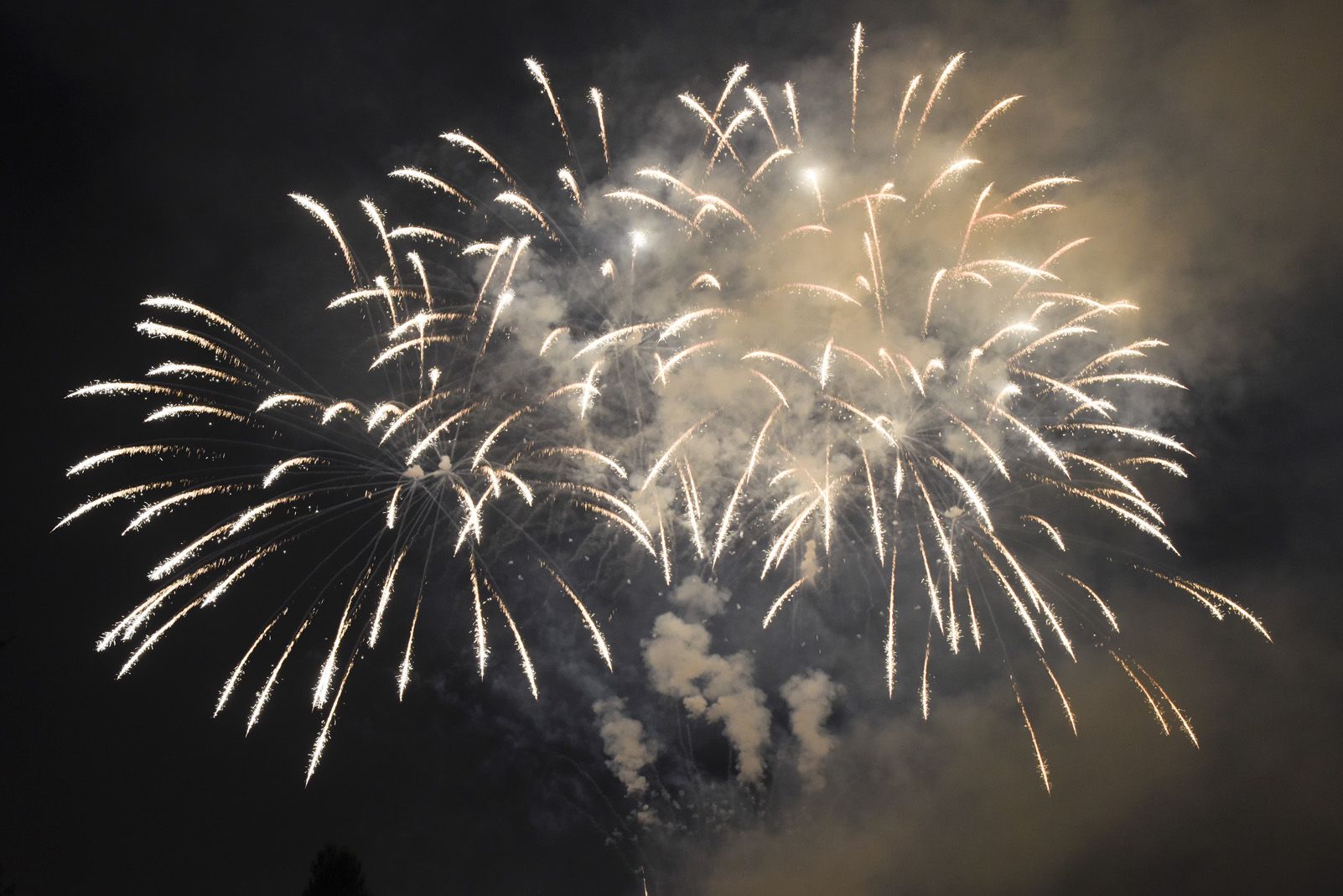 Castell de Focs de Festa Major 2019. Foto: Bernat Millet.
