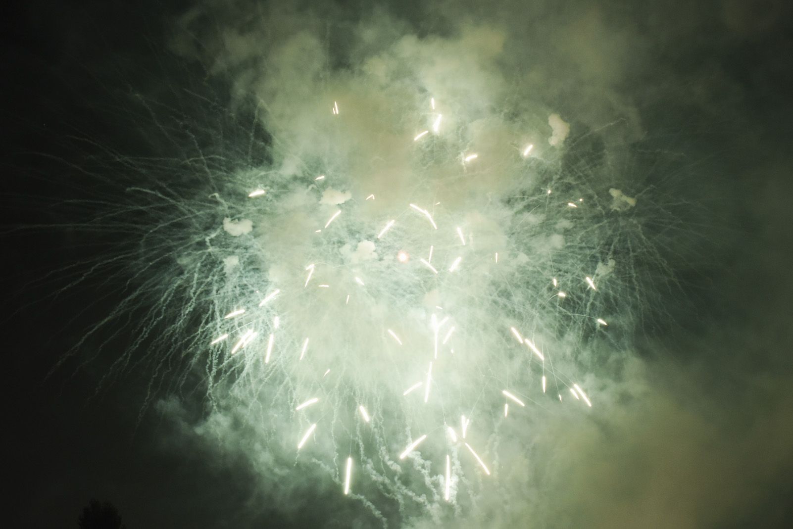 Castell de Focs de Festa Major 2019. Foto: Bernat Millet.
