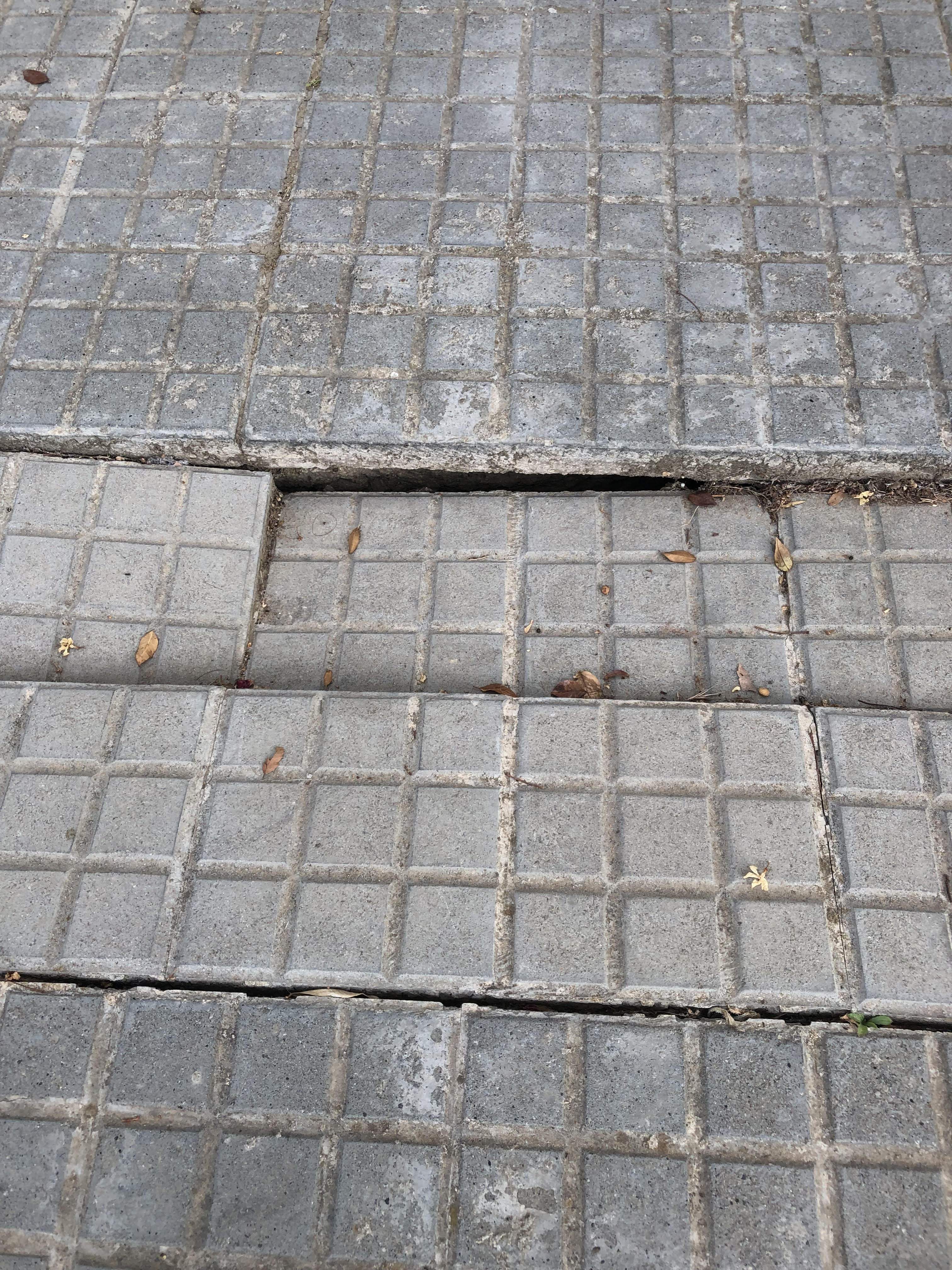 Mal estat de la vorera del carrer Ramon Mas de Volpelleres. FOTO: Lourdes Agudo