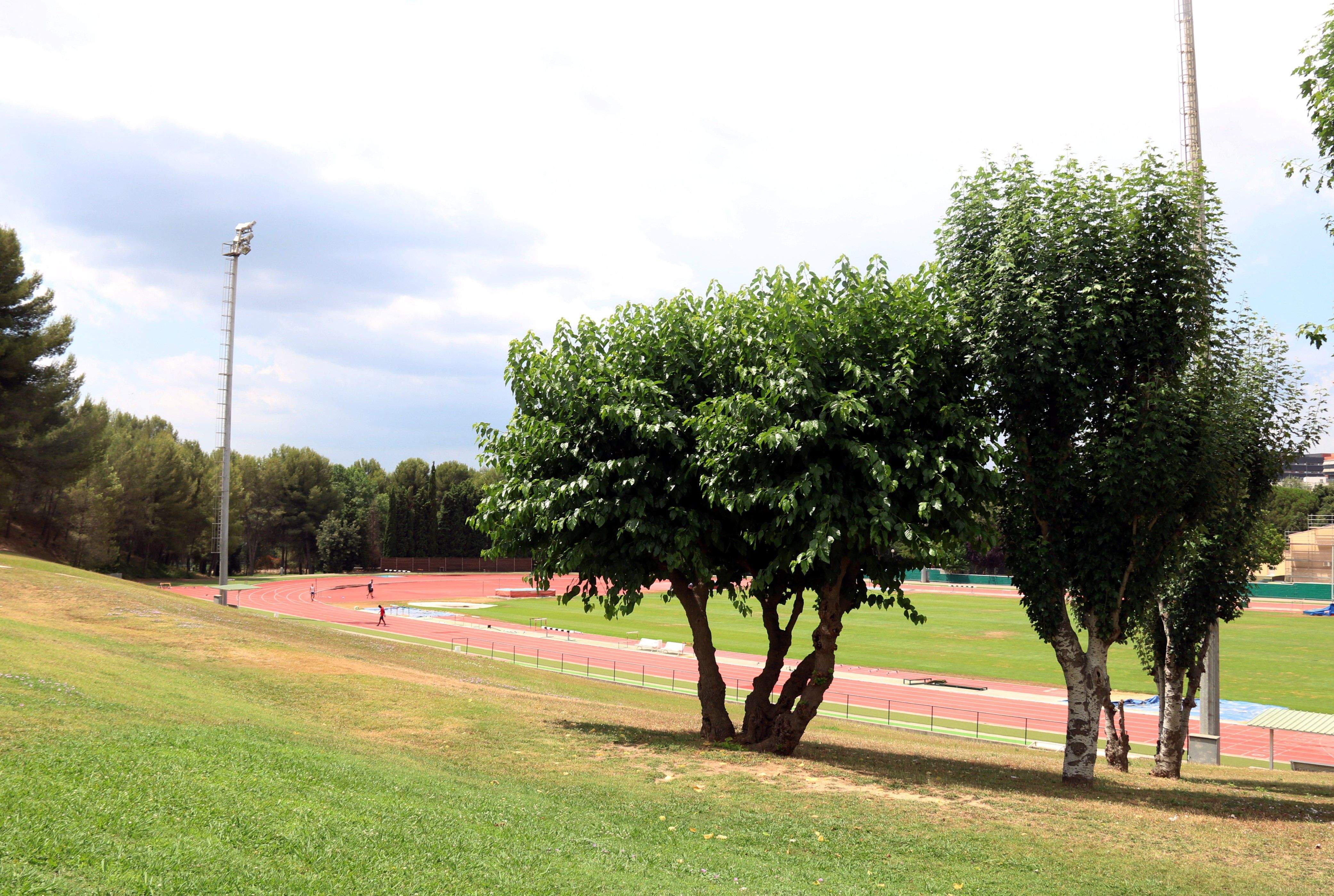 Pla general de l'espai on s'ubicaria la pista d'arrencada per Skeleton i Bobsleigh al CAR de Sant Cugat. FOTO: ACN