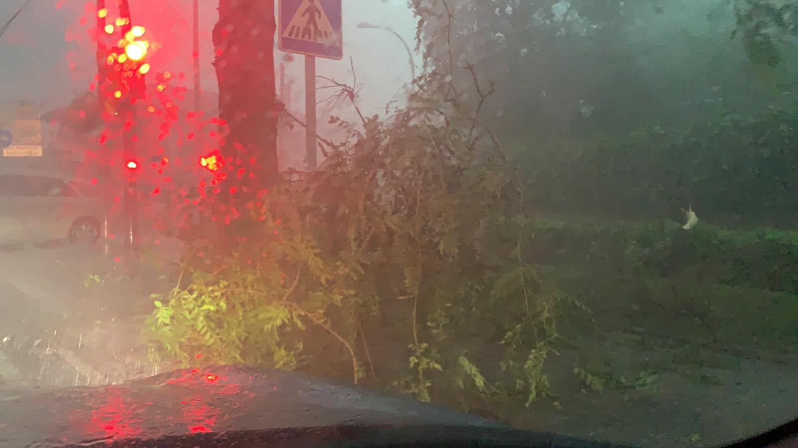 Arbres caiguts durant la tempesta a Sant Cugat. Foto: Cedida.