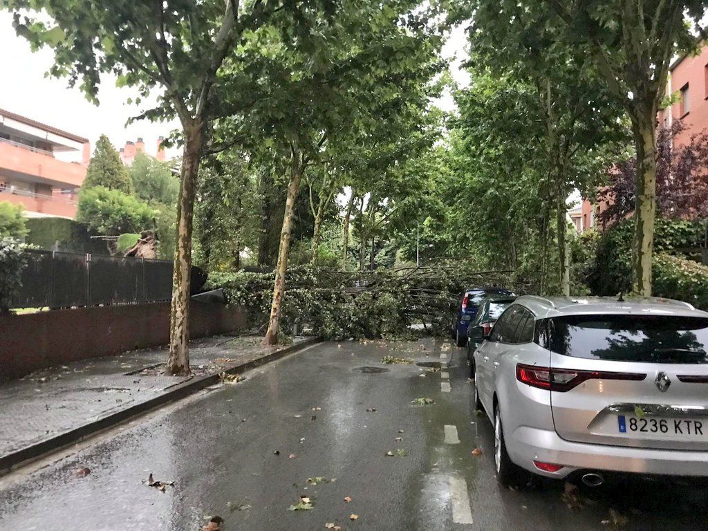 Arbres caiguts durant la tempesta a Sant Cugat. Foto: Cedida.