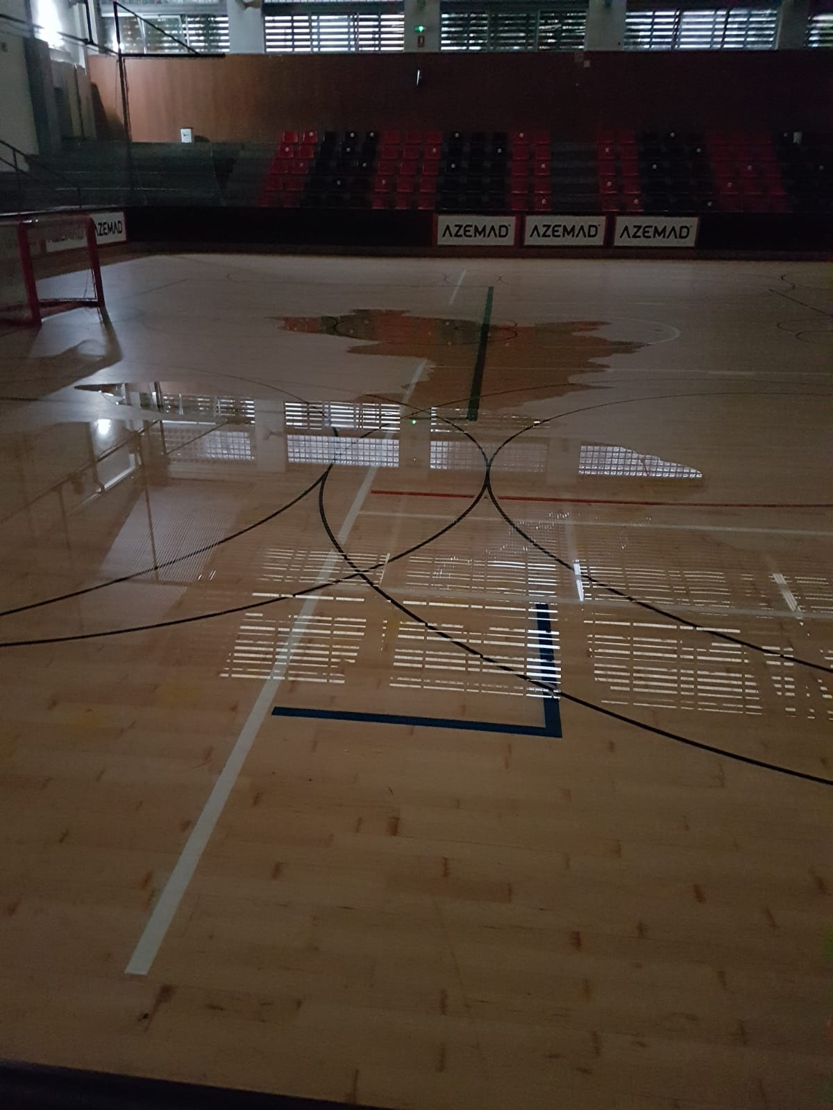 Pavallo inundat. Foto: Cedida.