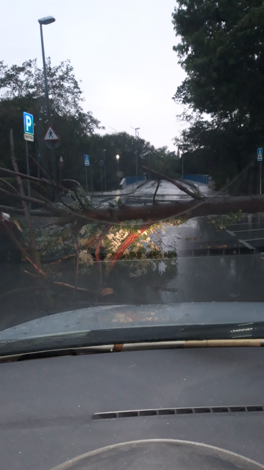 Arbres caiguts durant la tempesta a Sant Cugat. Foto: Cedida.