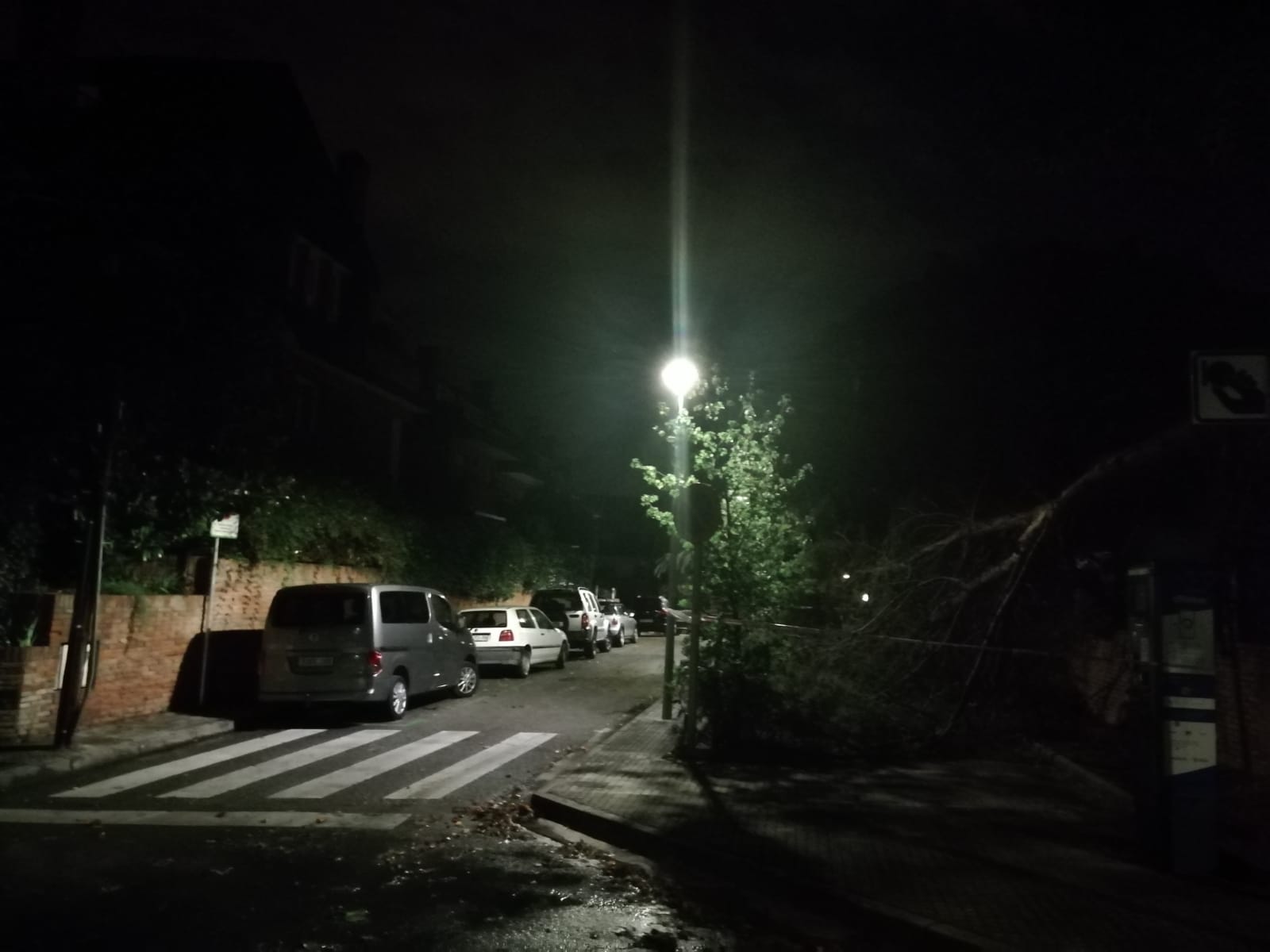 Arbres caiguts durant la tempesta a Sant Cugat. Foto: Cedida.