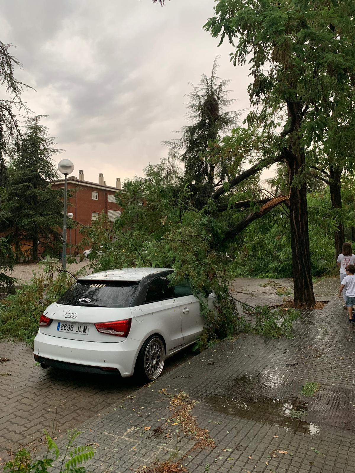 Arbres caiguts durant la tempesta a Sant Cugat. Foto: Cedida.
