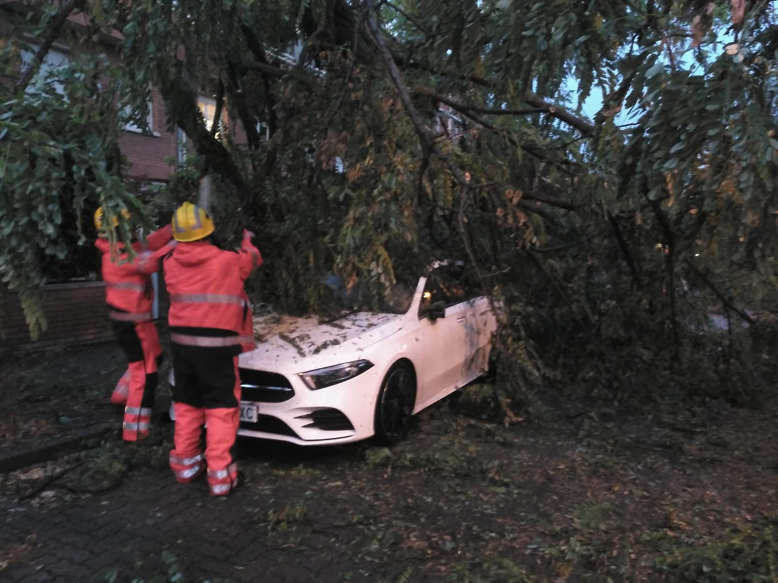 Arbres caiguts durant la tempesta a Sant Cugat. Foto: Cedida.
