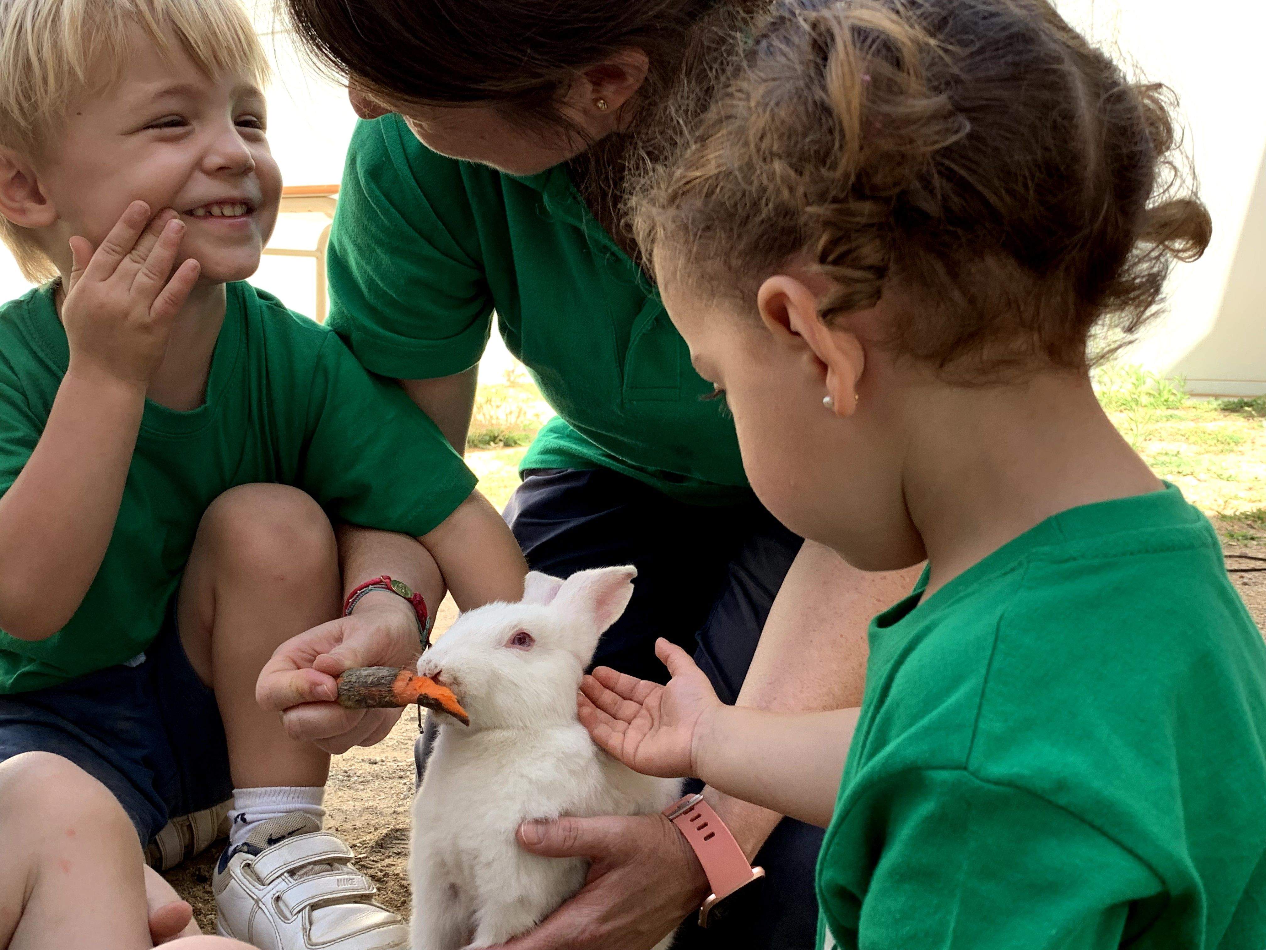 El Country Camp ensenya als infants a cuidar i ser respectuosos amb els animals. FOTO: Cedida