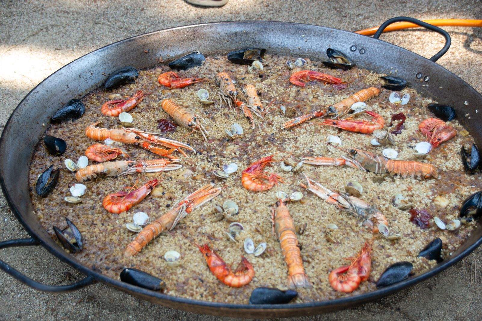 27a Trobada de Paelleres i Paellers . Foto: Silvia Polanco