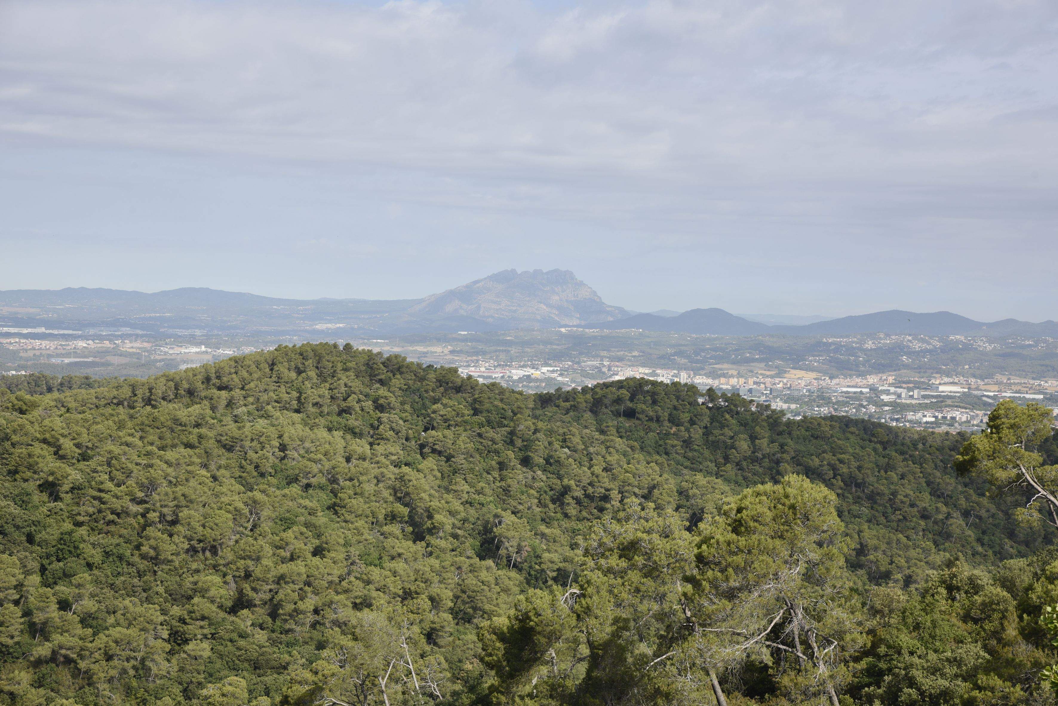Collserola és el pulmó verd de Sant Cugat. FOTO: Bernat Millet