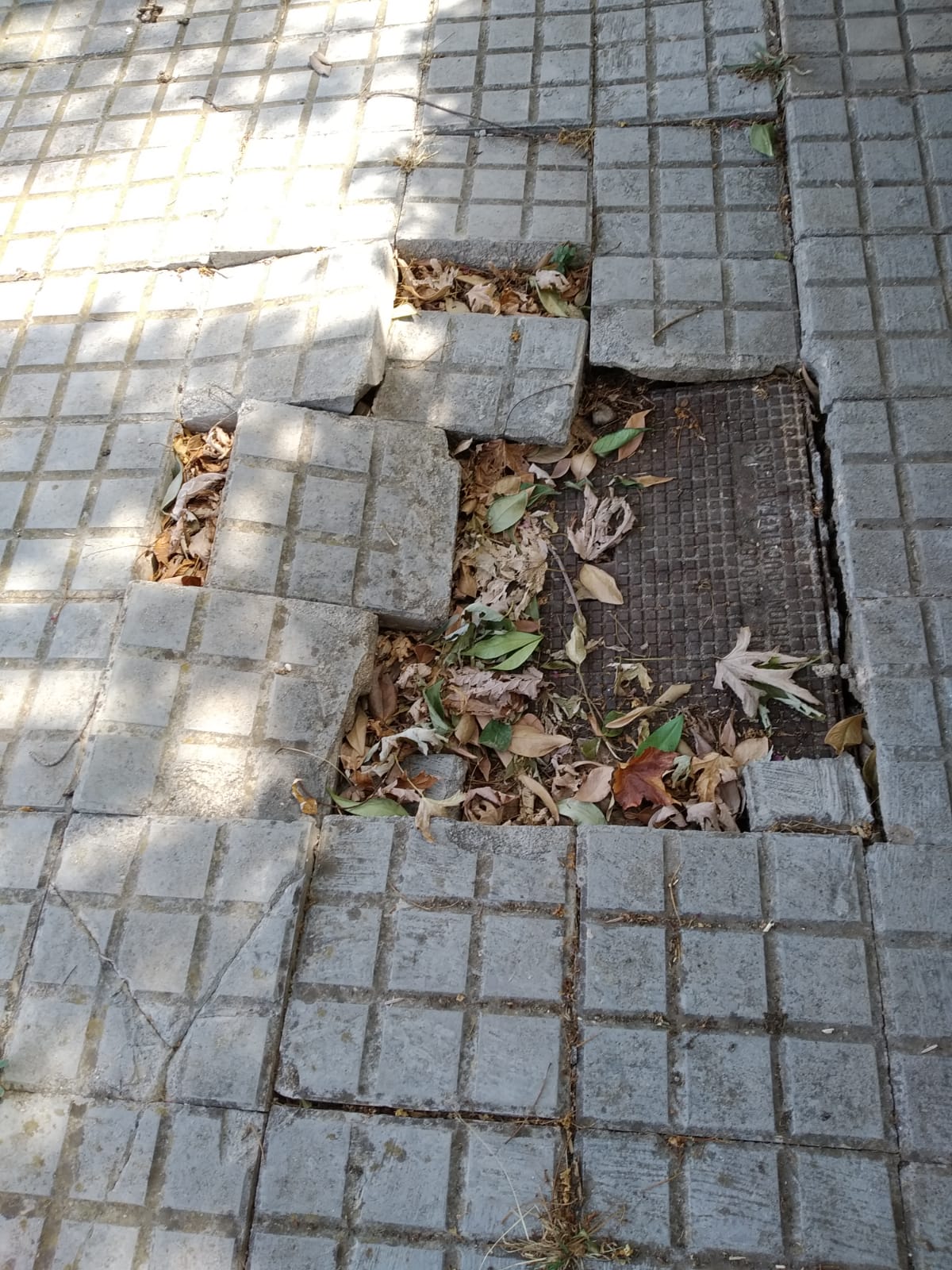 PHOTO 2019 08 13 09 55 10