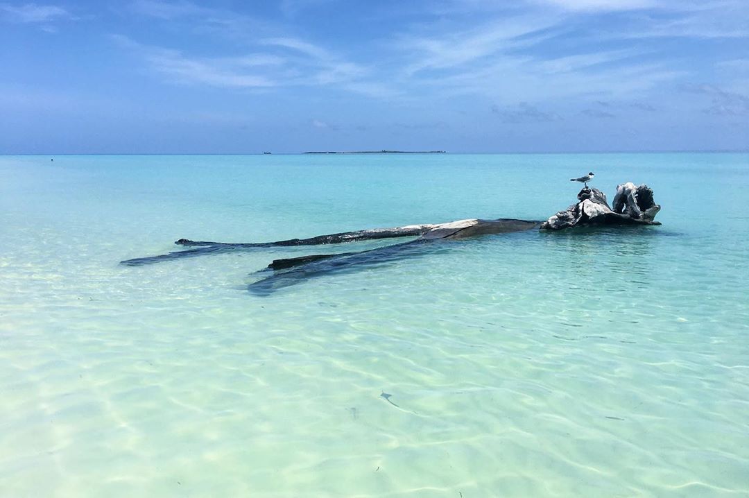 "Seek what sets your soul on fire" @rsubist