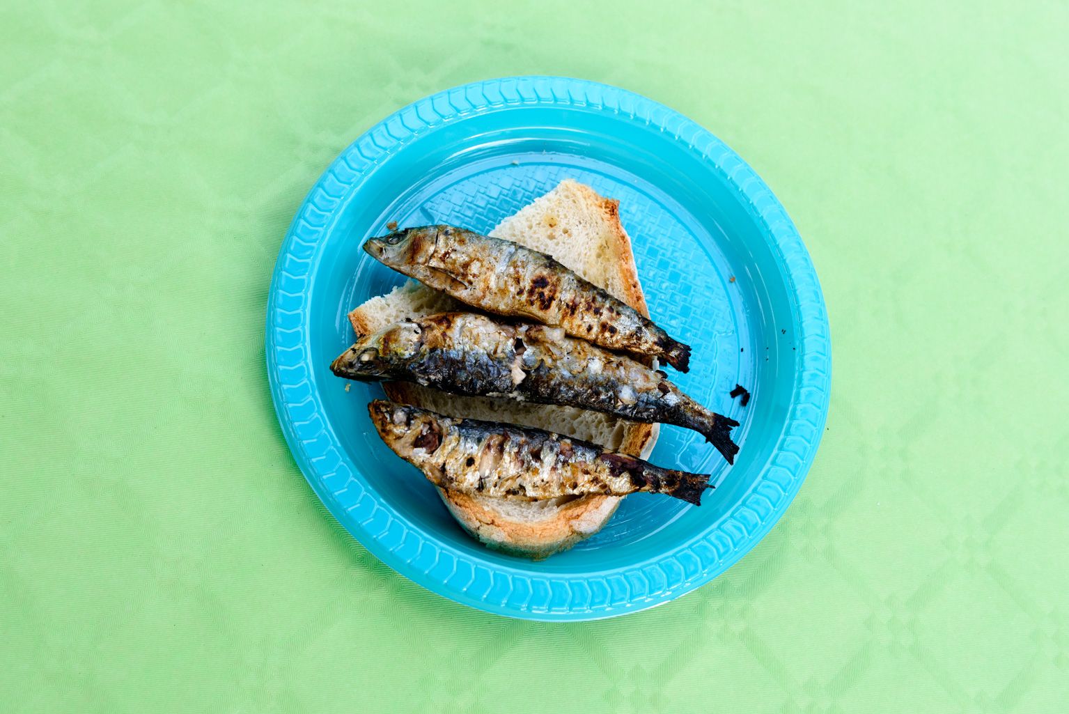 Festa Major de la Colònia Montserrat: Sardinada popular. Foto: Miguel López Mallach