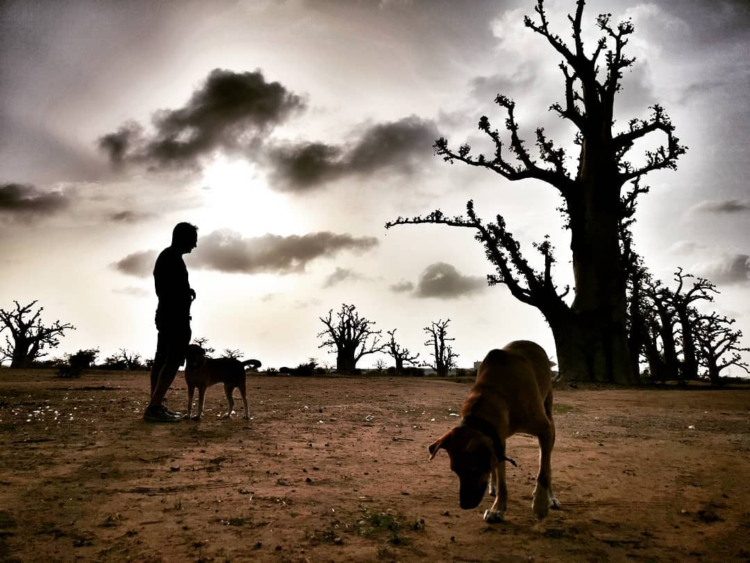 Imatge participant en el concurs TOT Fotoportada 2019 ("Baobab" de @almareste)