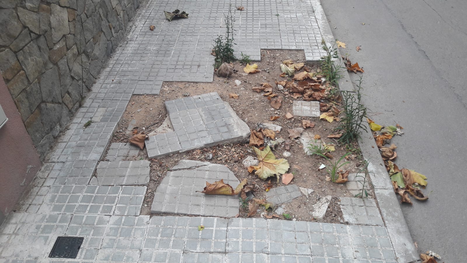 Vorera a l'avinguda del Baixador. Foto: arxiu.