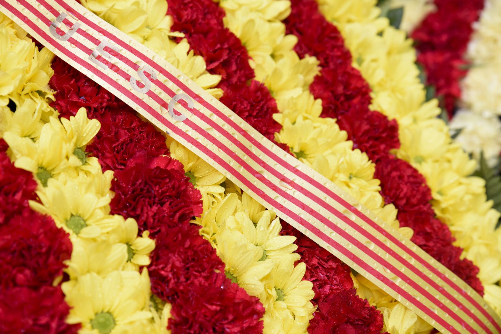 Ofrena a Rafael Casanova per la Diada Nacional Catalana de l'11 de Setembre. Foto: Bernat Millet