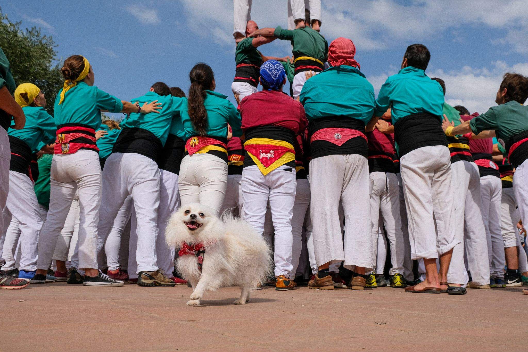 Trobada castellera a la plaça de la Cultura. Foto: Ale Gómez