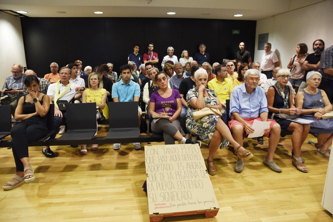 La Sala de Plens s'ha omplert en l'Audiència Pública. FOTO: Bernat Millet