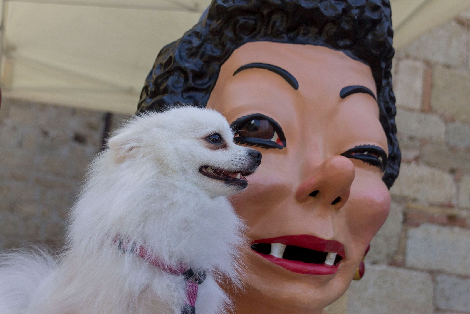 Taller de construcció de caparrots per la Diada de Testes. FOTO: Paula Galván