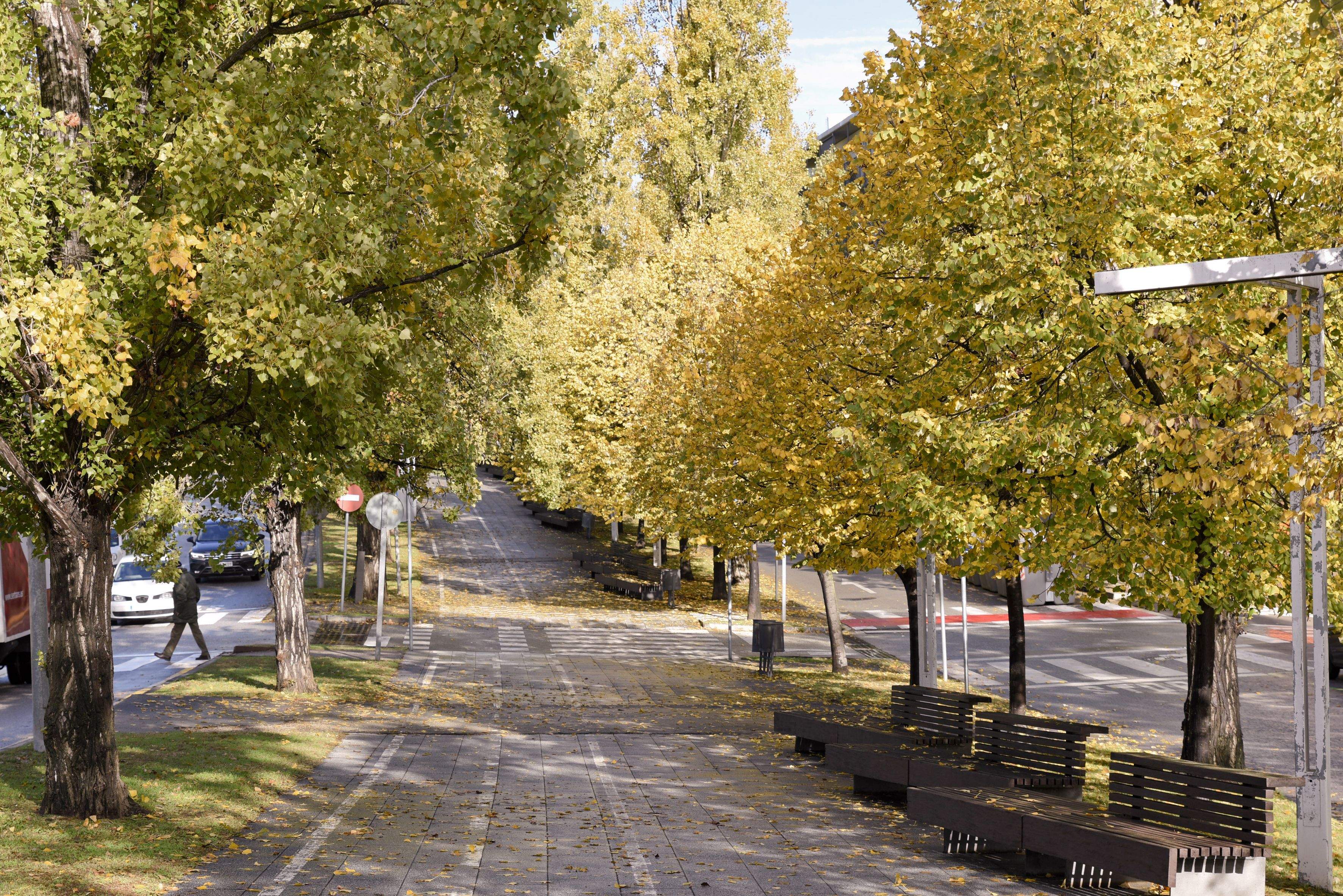 Temps de tardor per aquesta setmana a Sant Cugat. FOTO: Bernat Millet