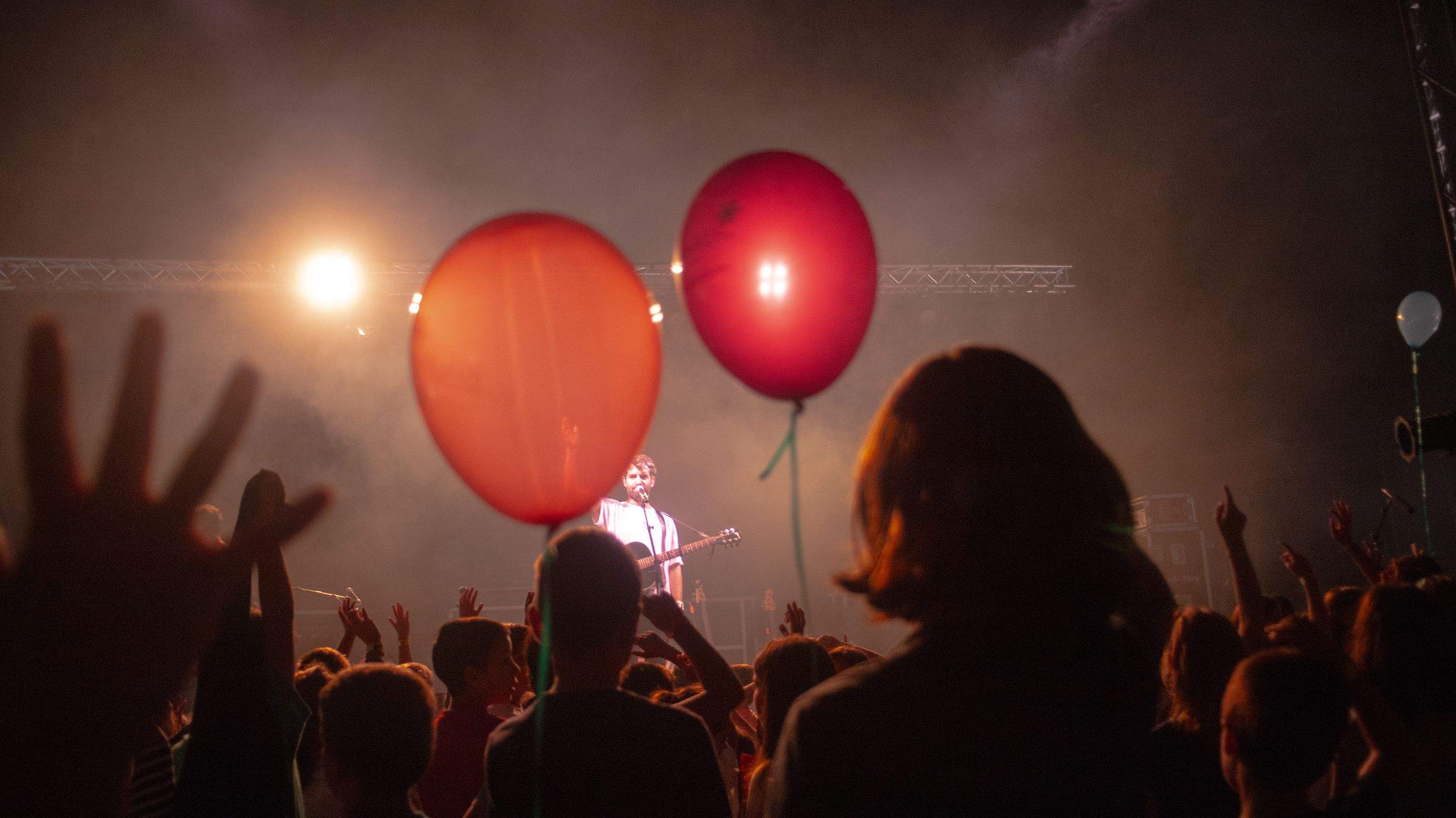 Petits camaleons. Foto: Adrián Gómez