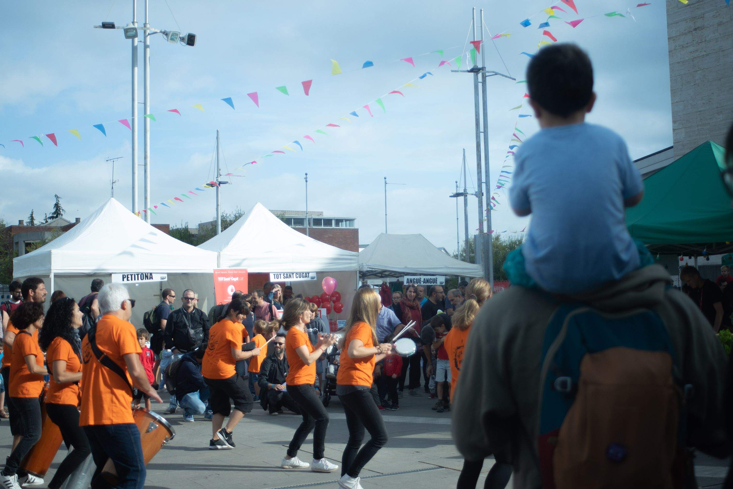 Petits camaleons. Foto: Adrián Gómez
