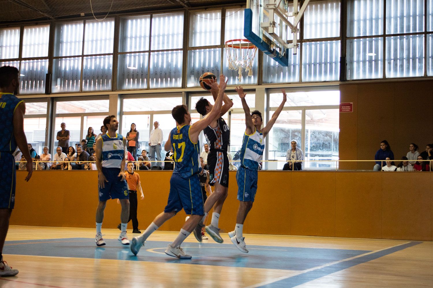 Bàsquet masculí. Partit de lliga. Qbasket - SEDI. Foto: Adrián Gómez