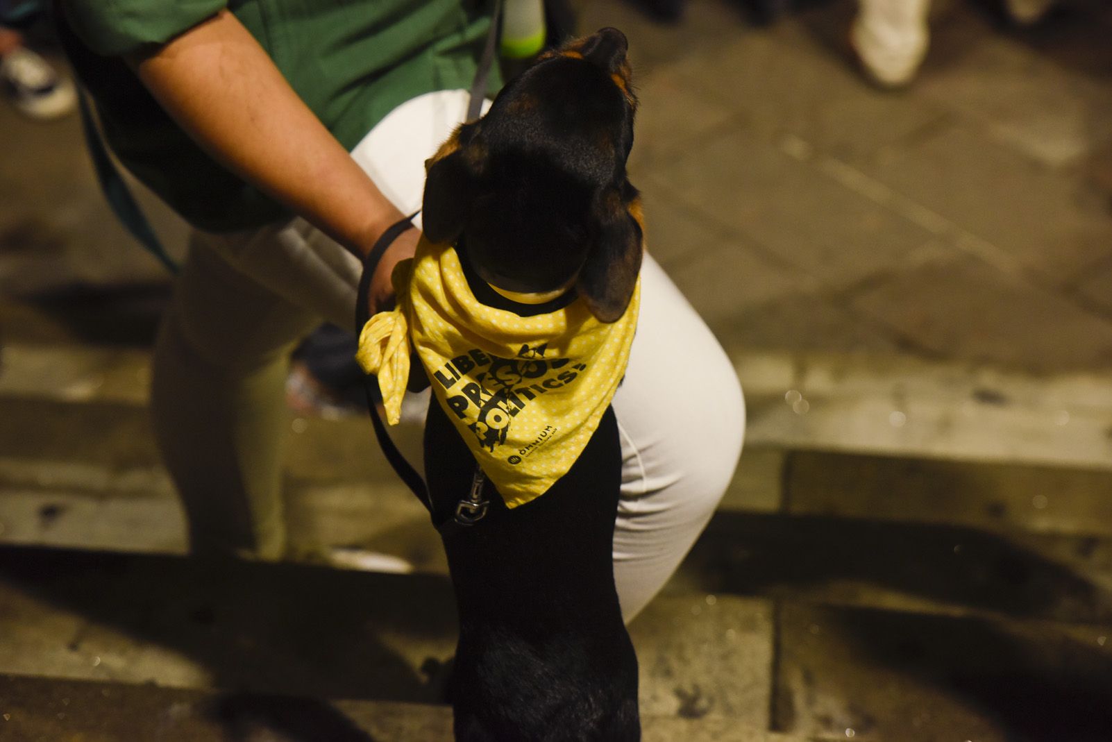Manifestació contra la sentència del Tribunal Suprem. Foto: Bernat Millet.