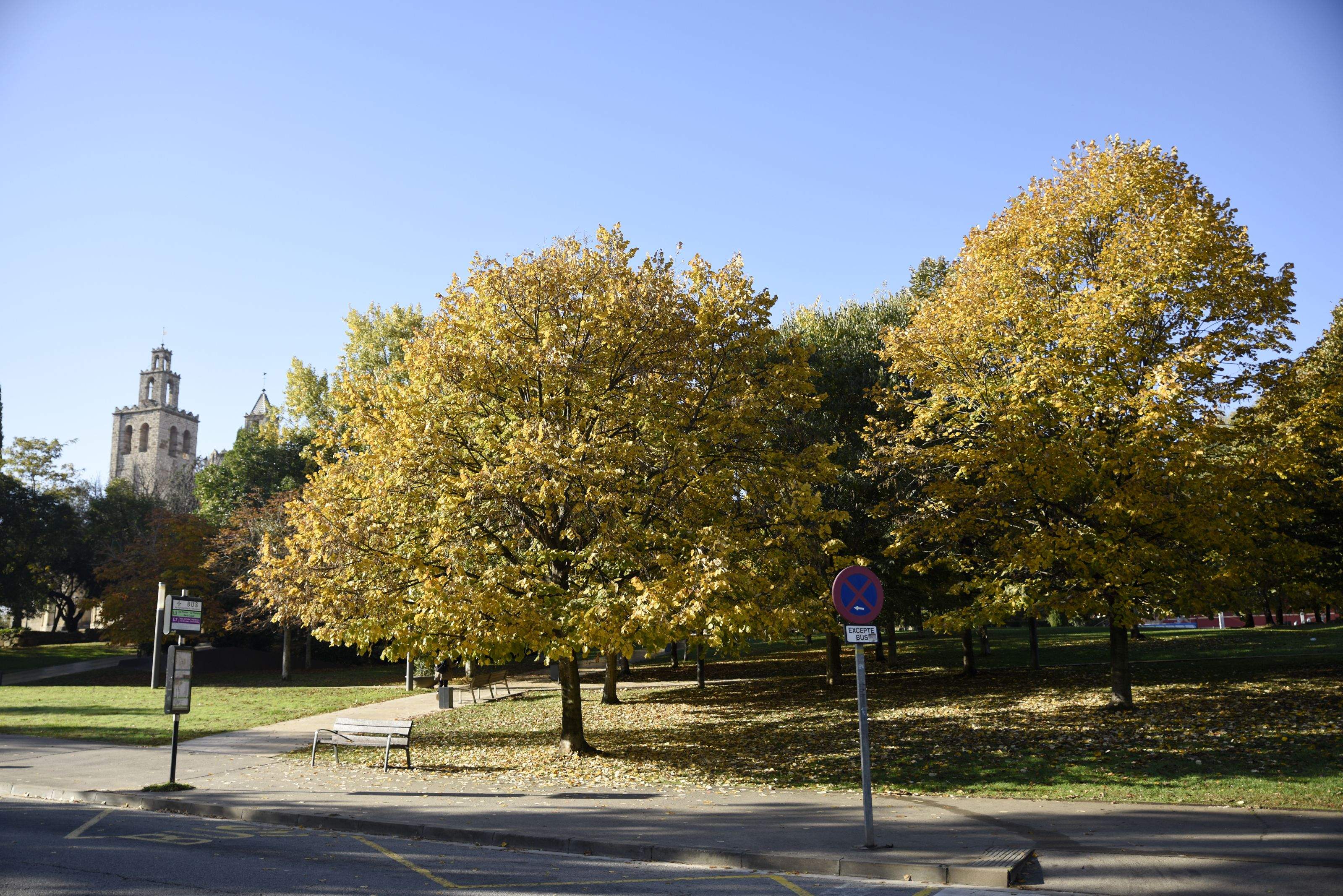 Temps de tardor per aquesta setmana a Sant Cugat. FOTO: Bernat Millet