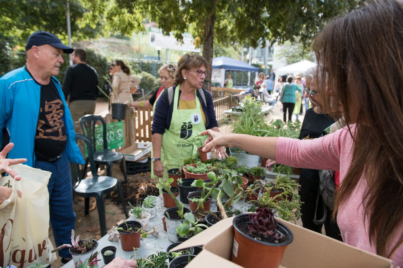 12a Fira d'intercanvi de plantes Plaça de l'estació de la Floresta. Foto: Miguel López Mallach