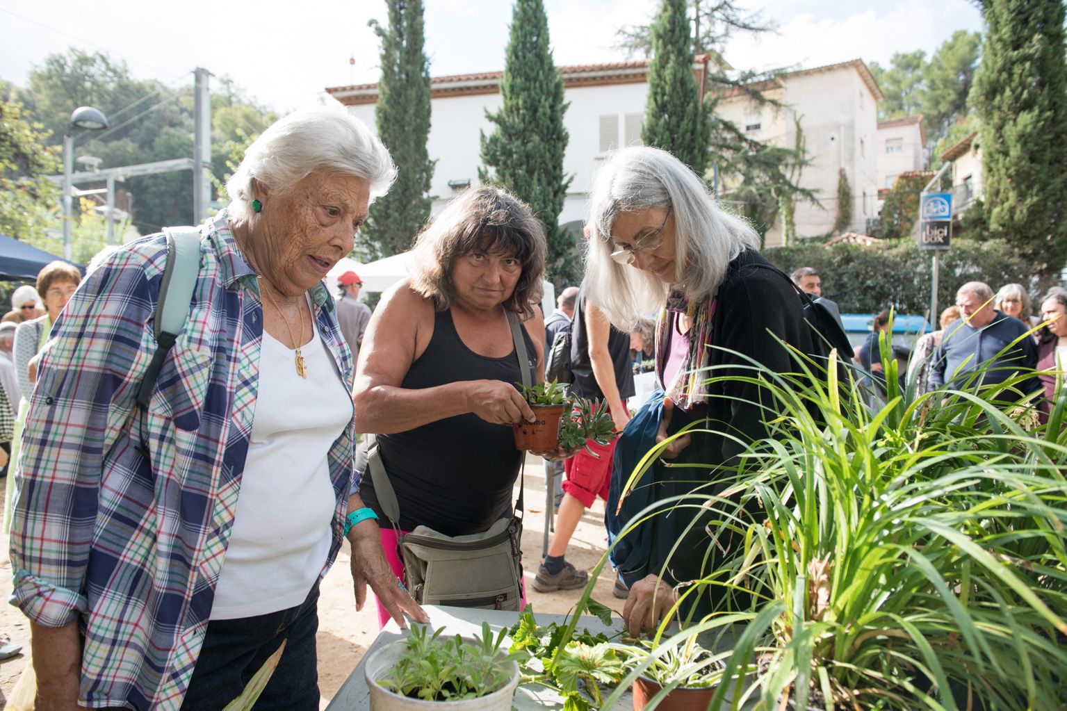 12a Fira d'intercanvi de plantes Plaça de l'estació de la Floresta. Foto: Miguel López Mallach