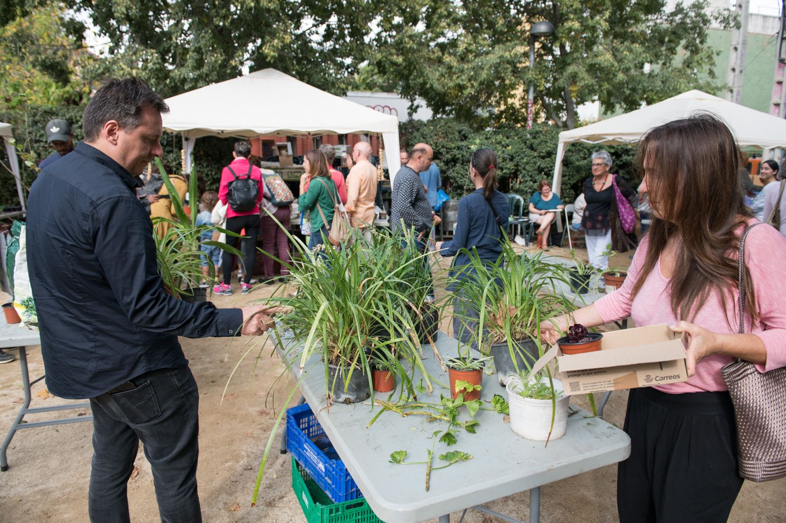 12a Fira d'intercanvi de plantes Plaça de l'estació de la Floresta. Foto: Miguel López Mallach