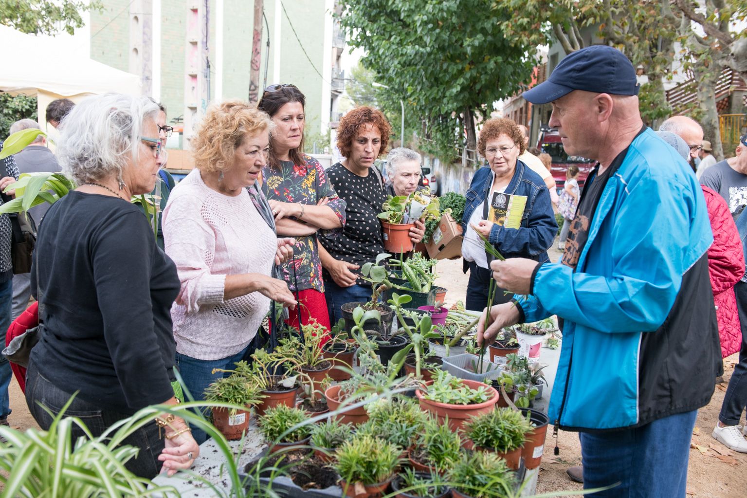 12a Fira d'intercanvi de plantes Plaça de l'estació de la Floresta. Foto: Miguel López Mallach
