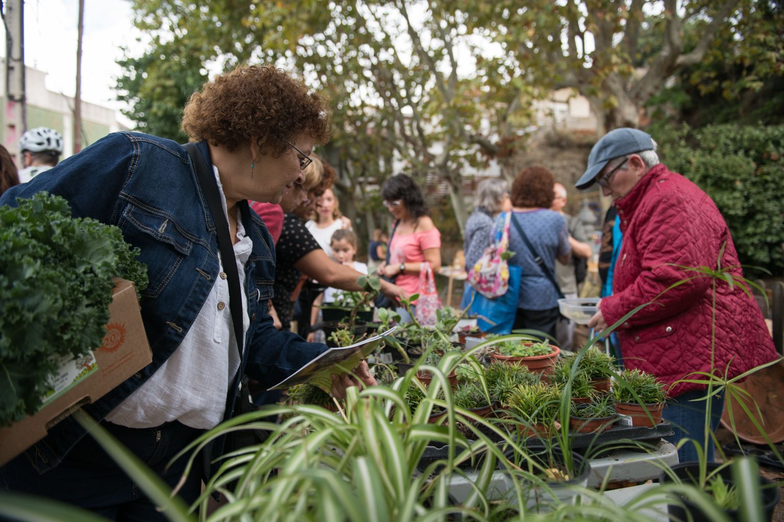 12a Fira d'intercanvi de plantes Plaça de l'estació de la Floresta. Foto: Miguel López Mallach