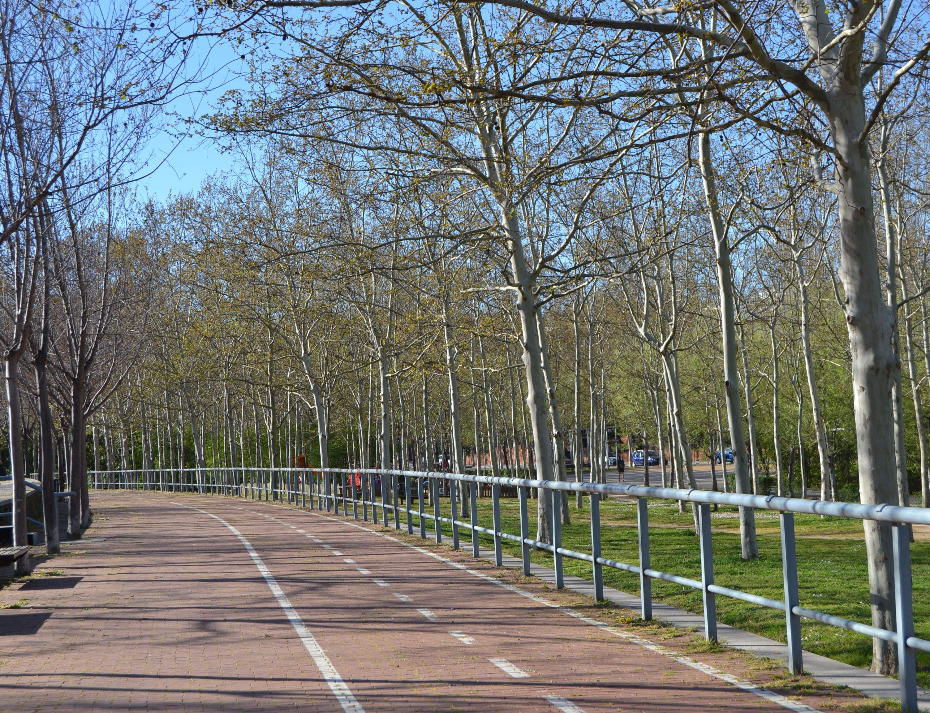 Imatge del Parc Central. FOTO: Silvia Polanco