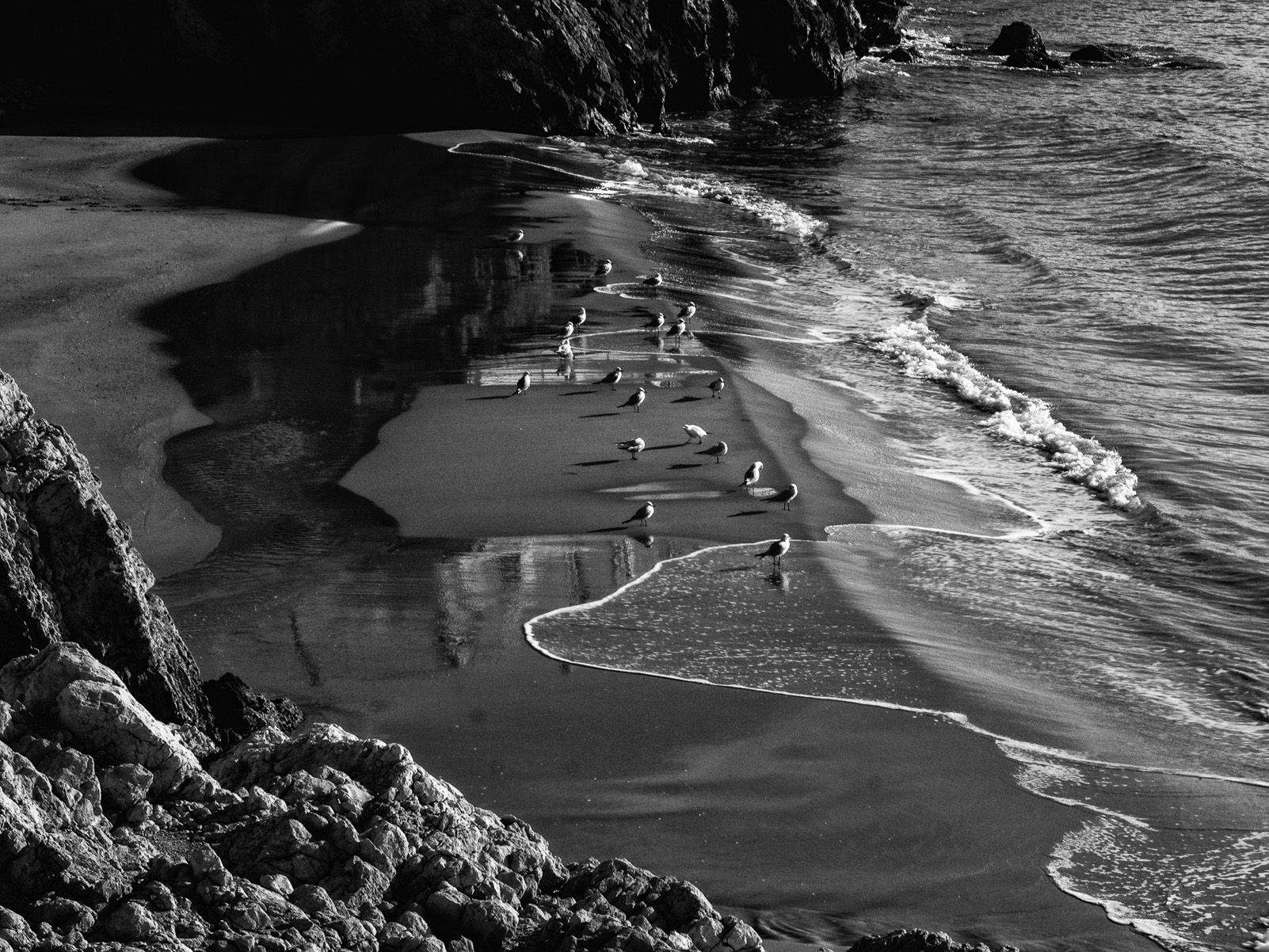 7è Premi Lleure: "Gaviotas al amanecer", Sitges. Foto: Jordi Contreras Rodríguez.