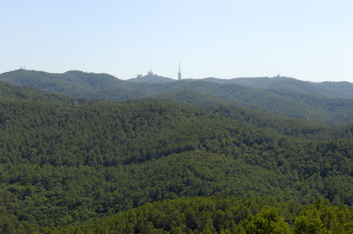 La serra de Collserola FOTO: Robert Peña/Arxiu del Parc Natural de Collserola