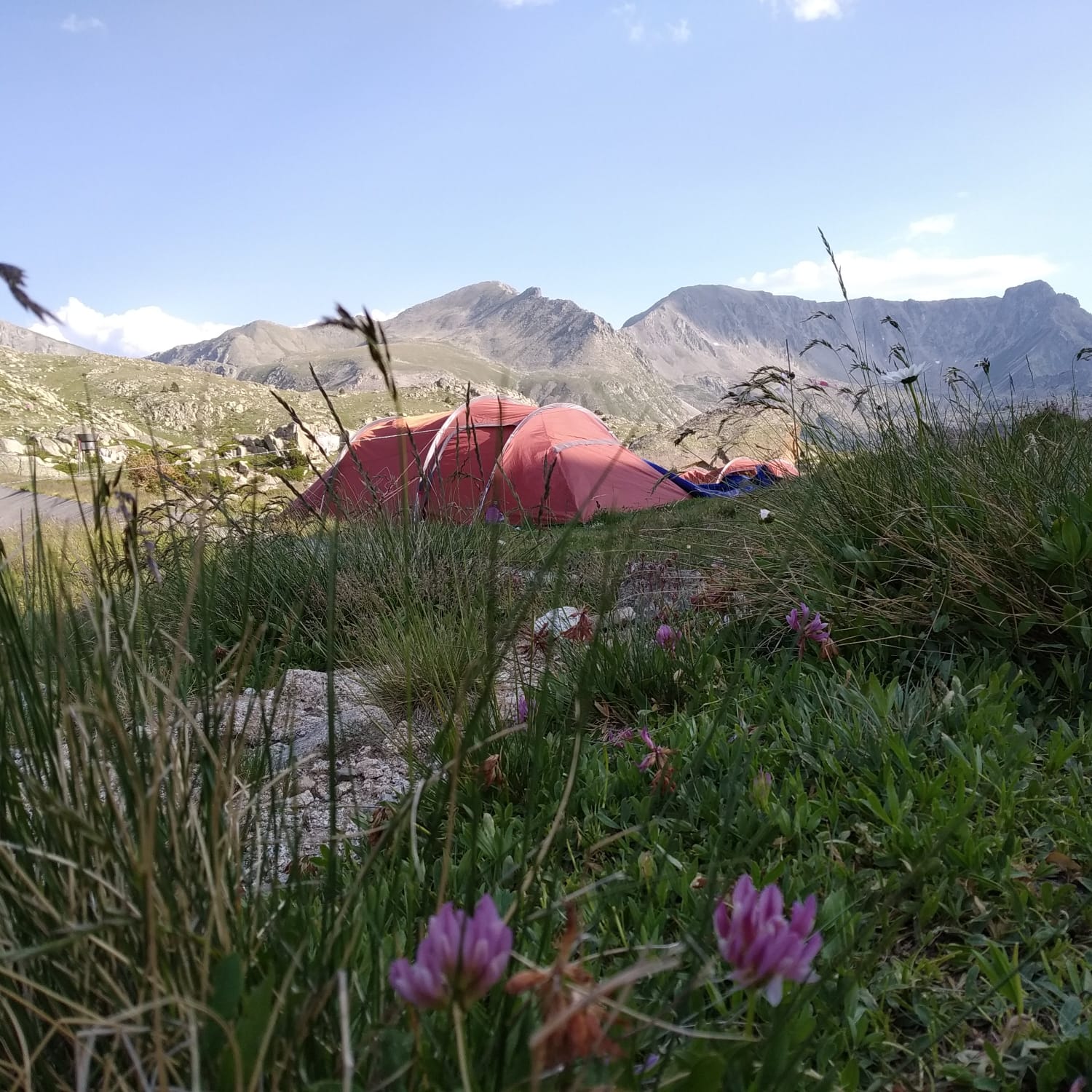 Anna Bordes   La pau   Andorra
