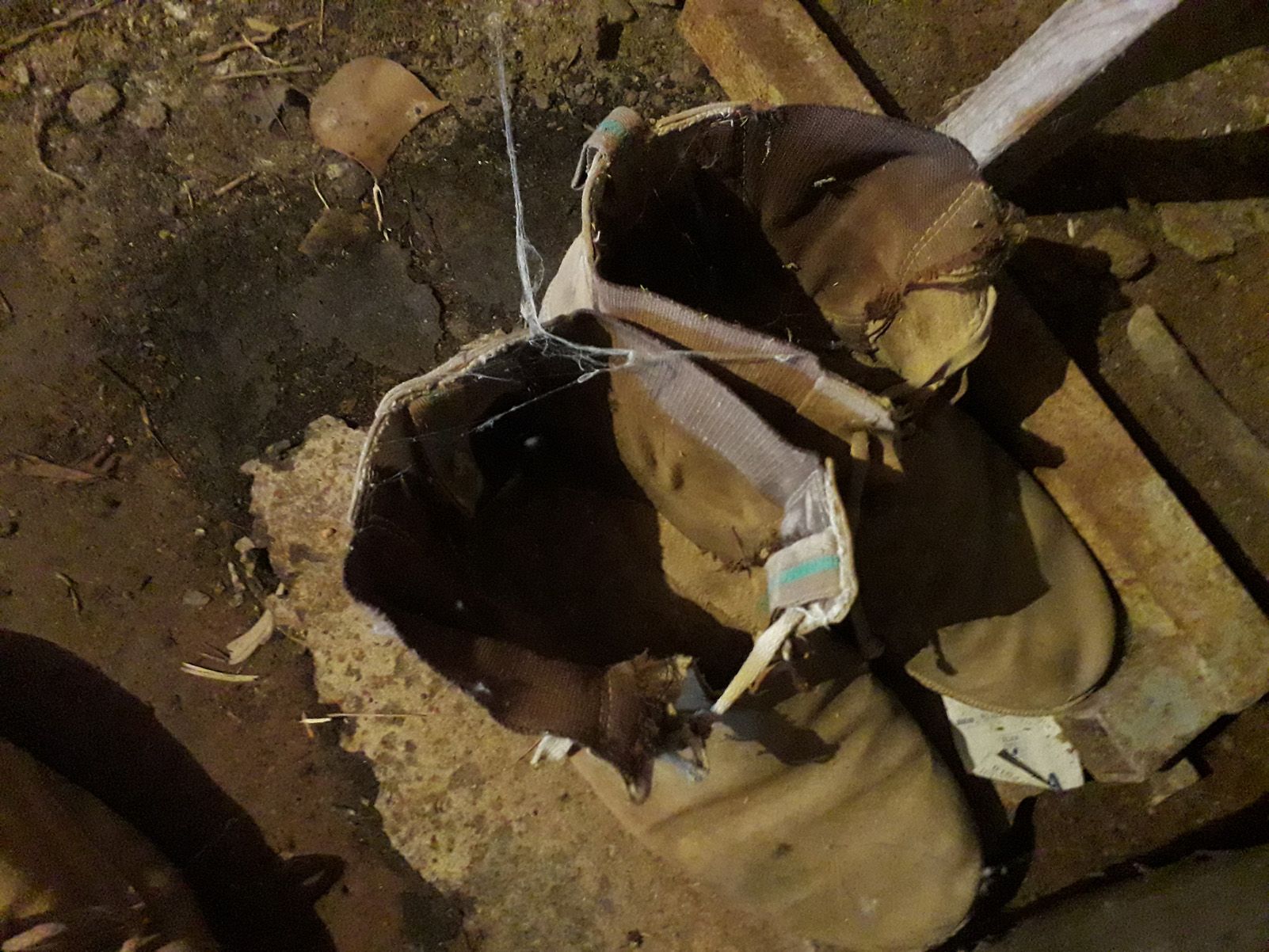 Ginesa Cañavate García   Feina feta!   Cartagena