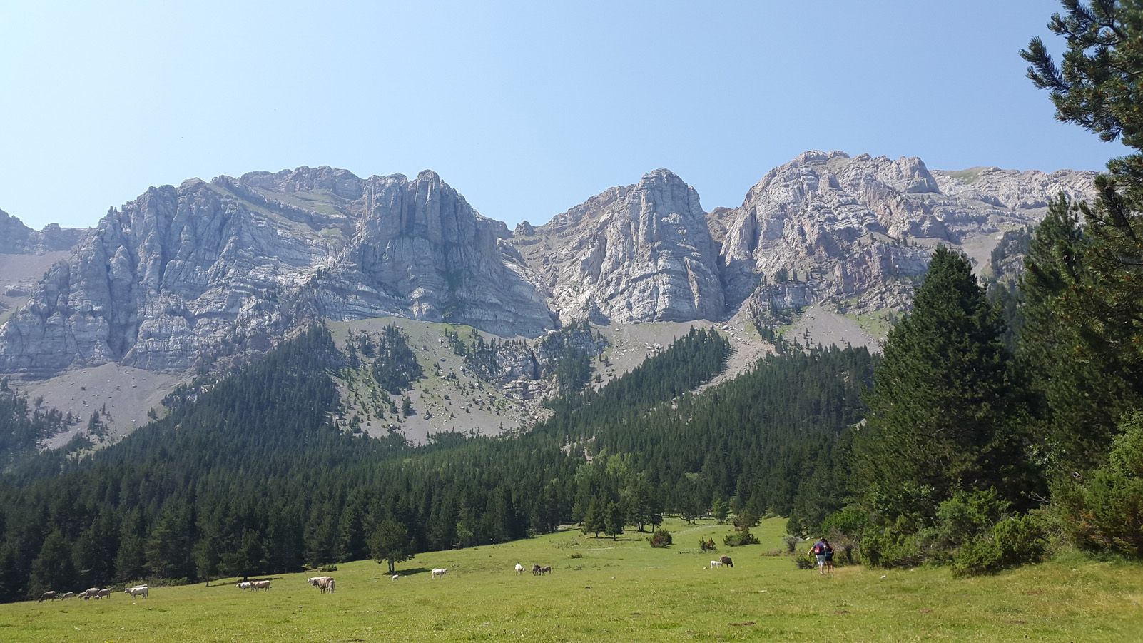 Maria Carme Filló Farreras   Prats del Cadi   Park Cadi Moixaró