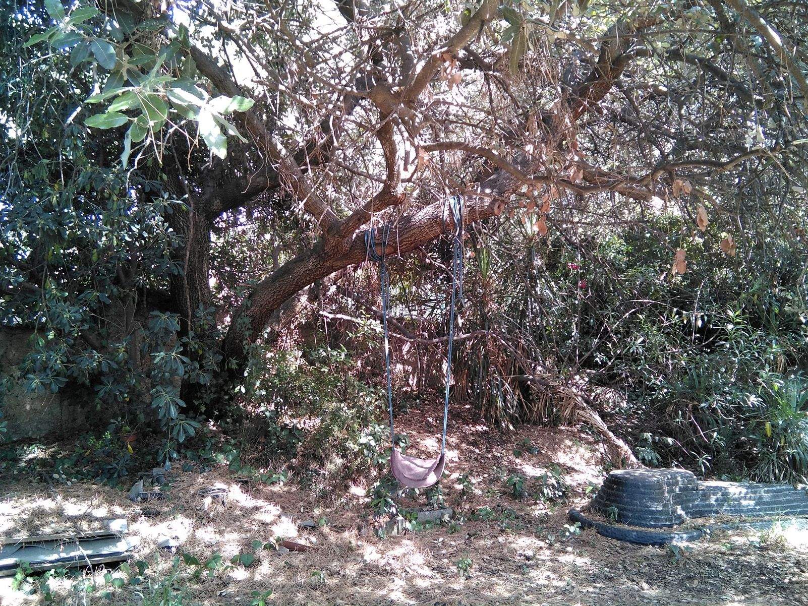 Sara Oriol Cañavate   El gronxador de la meva infantesa   Valldoreix