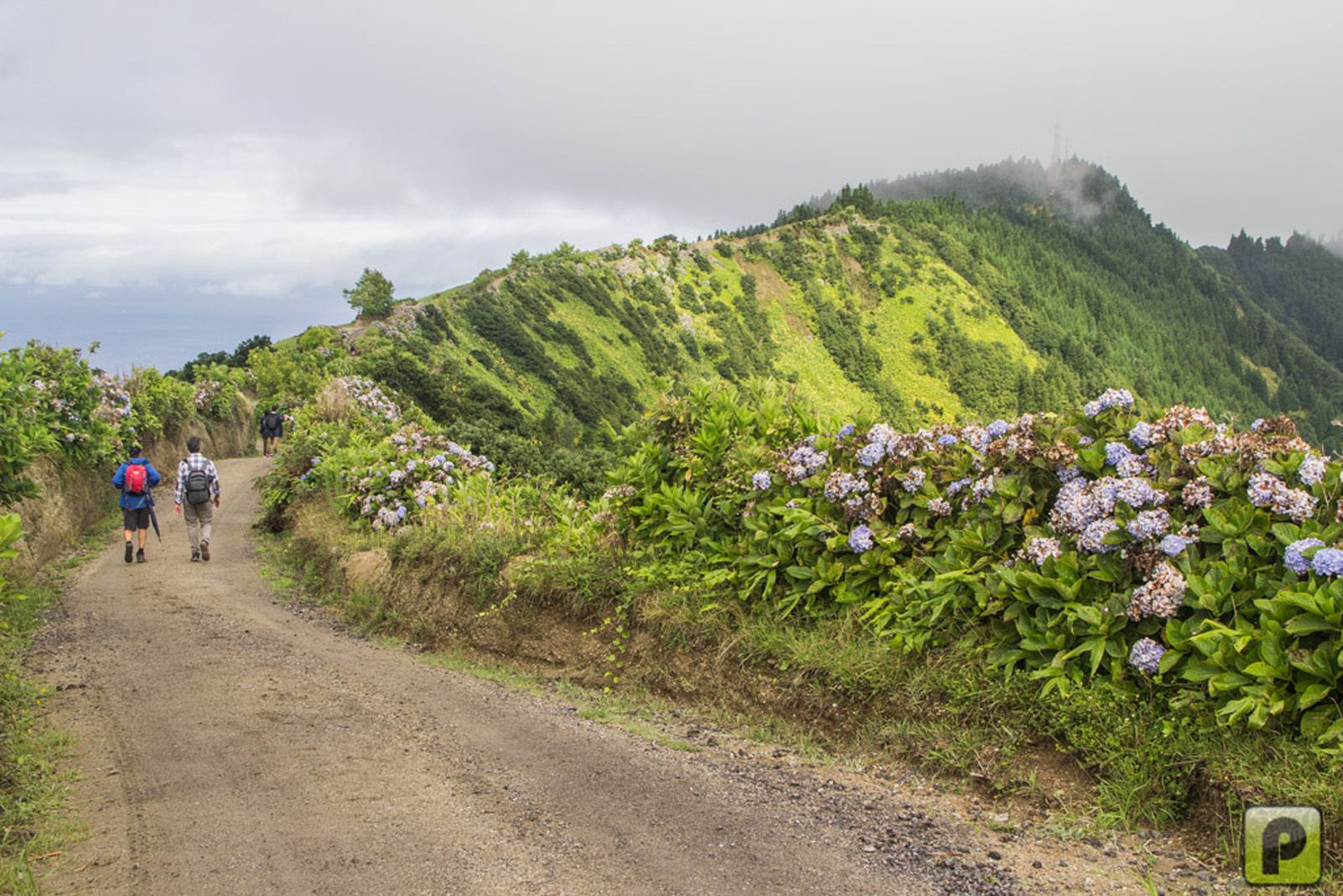 Xavier Peña Escribà   Ruta pel Cràter   Sete Cidades