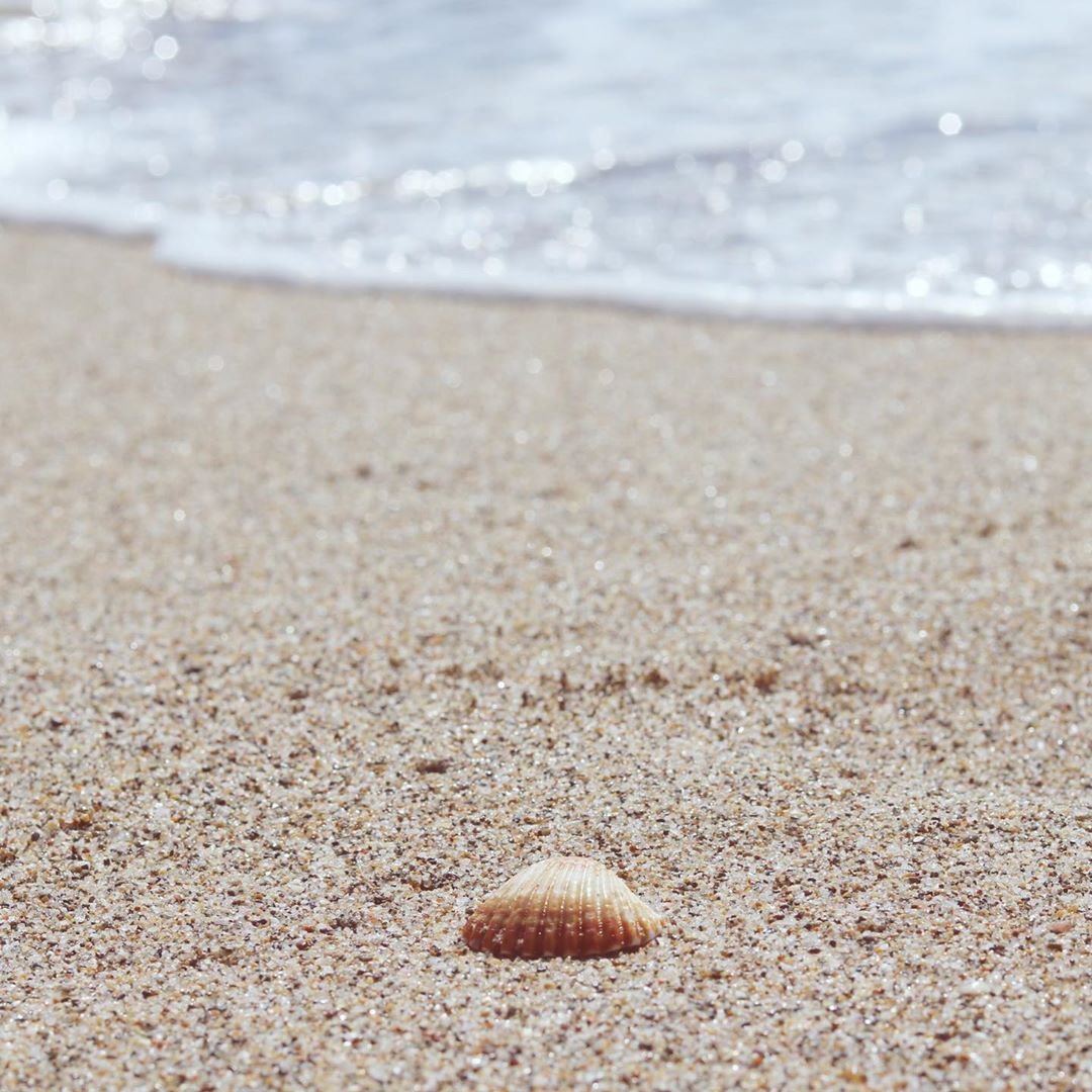 adrianamv89   happiness lives inside of the smallest moments