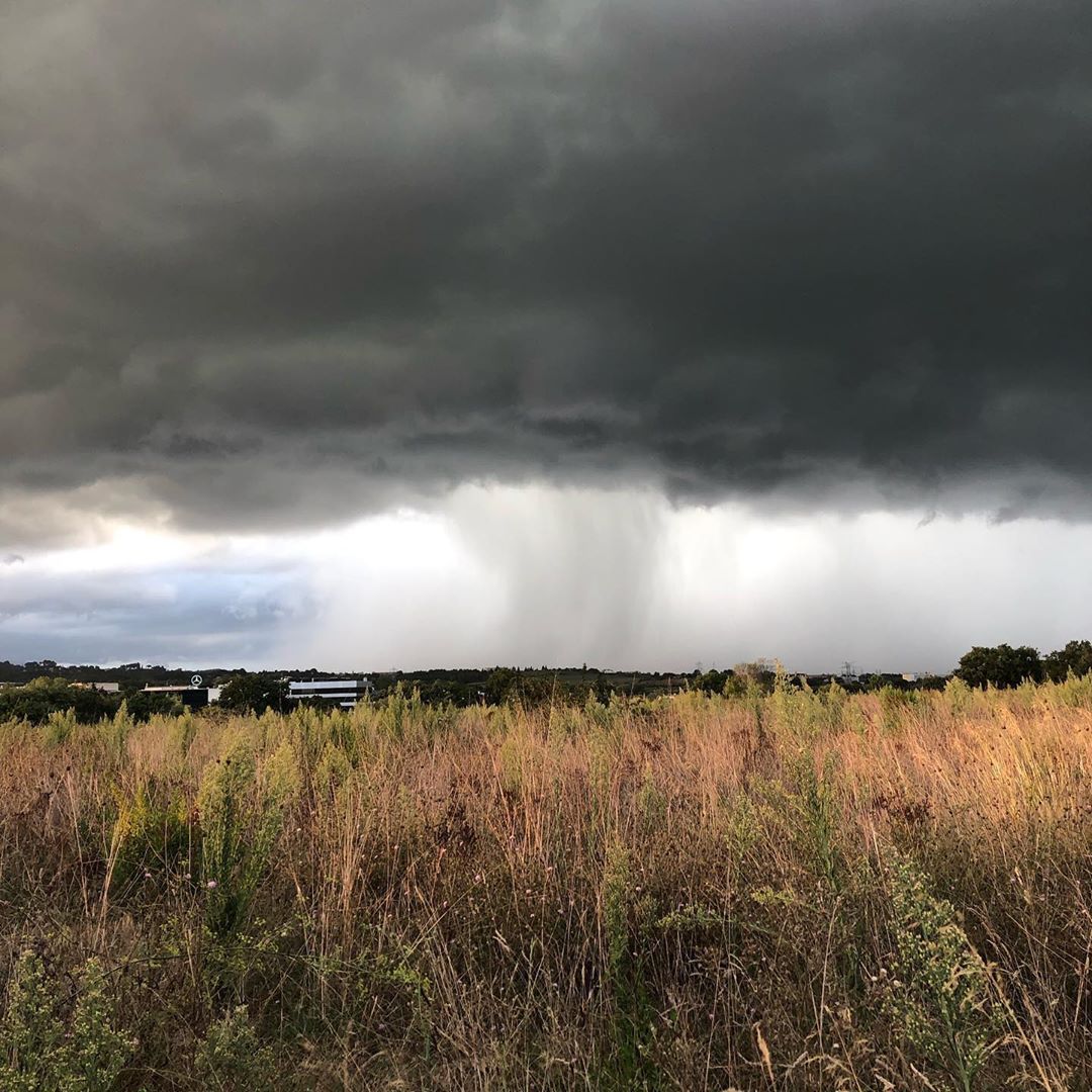 agathaestera   Excés d’optimisme