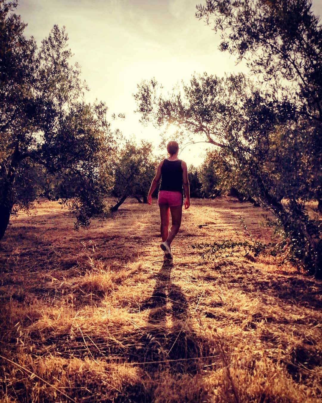 albrt crts   Perdre't entre oliveres, com qui és perd per un somni de mitjanit… Els teus orígens m'han portat a un nou caminar, i fan de guia del meu despertar… Un dia vem ser aquí…