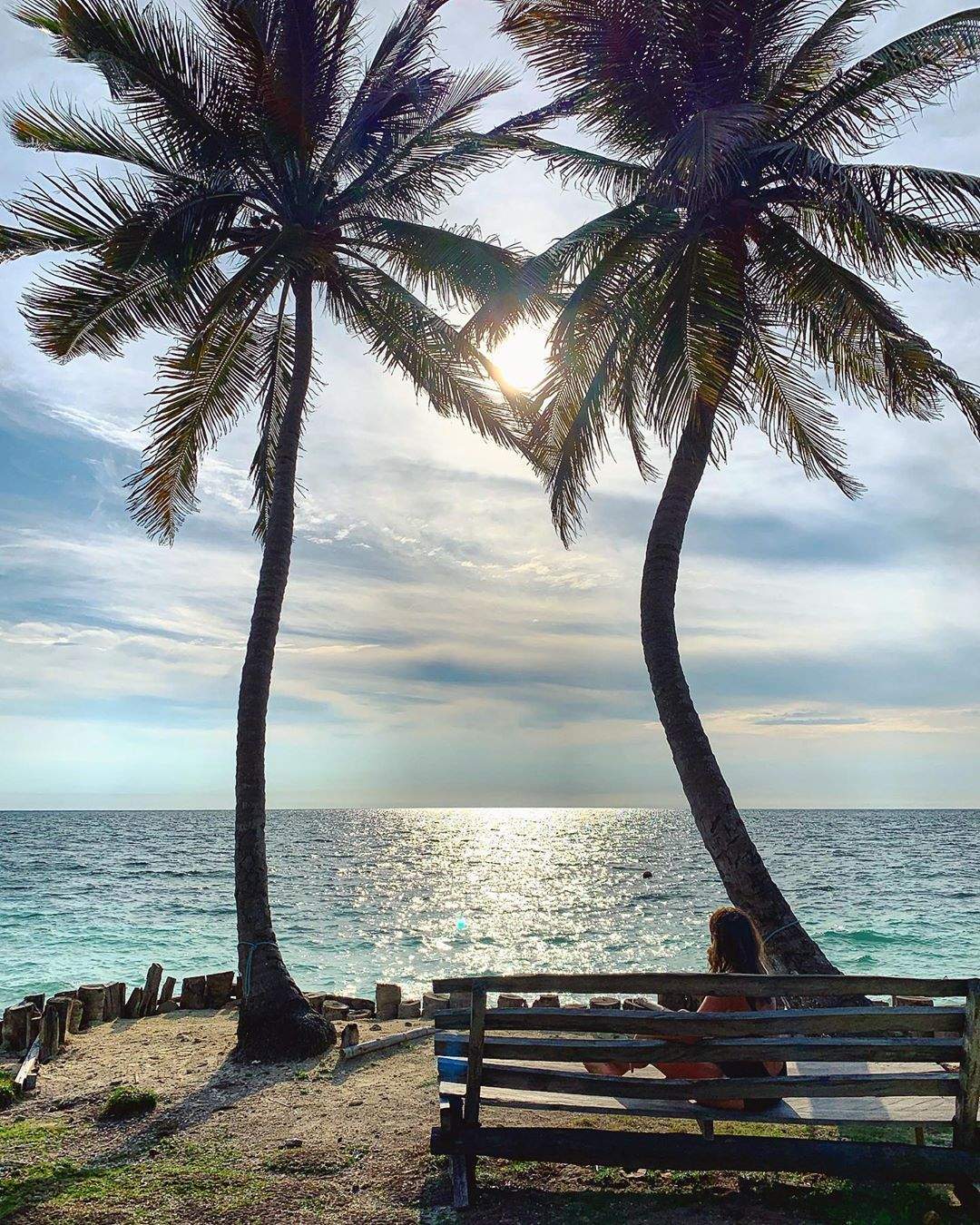 alexia alcaraz    Horitzó 