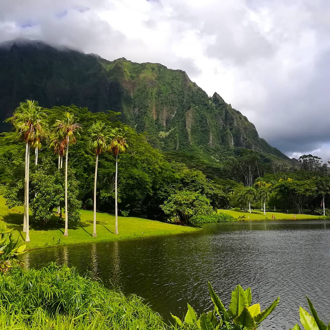 anna campmany   Green nature
