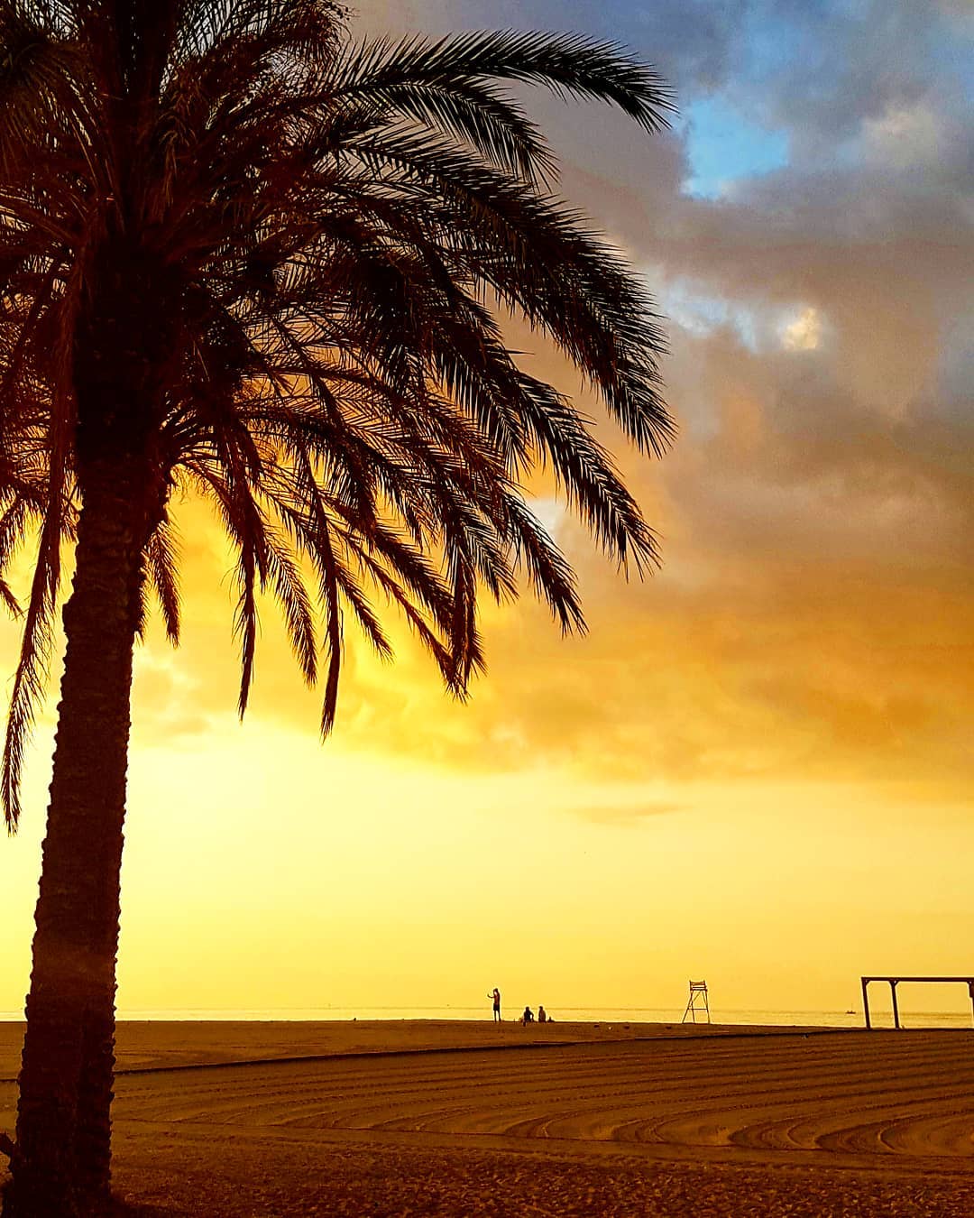 ceskical   Una de les meves matinades.. Ara mateix...7 29 h. (Of course) 