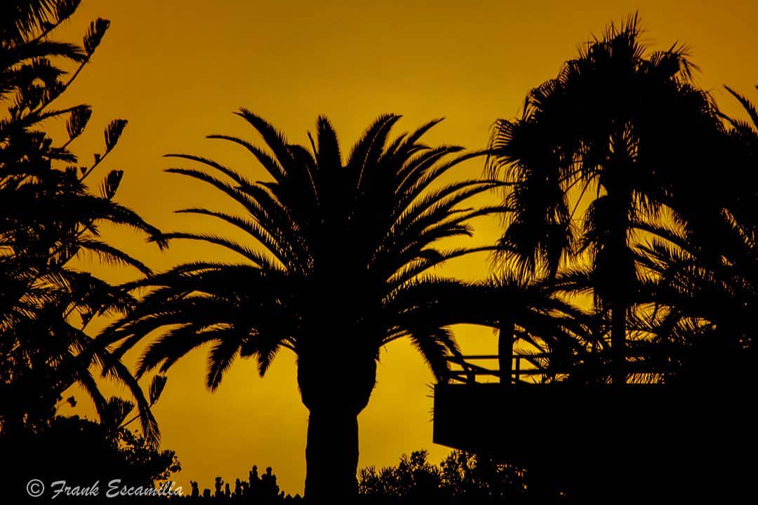 frank eskamilla   Sunset from Maspalomas (Canary Islands) Gran Canaria.