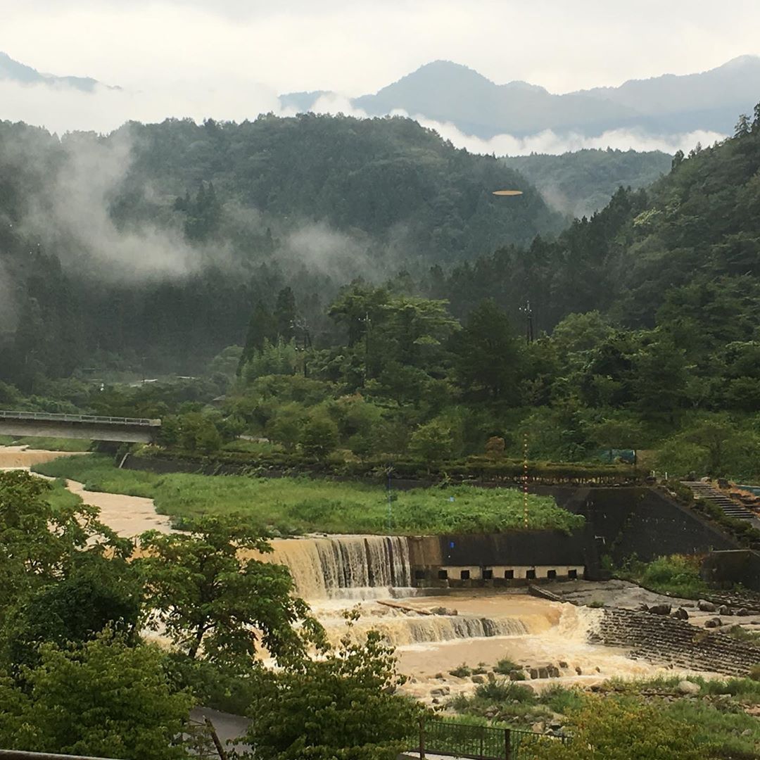 guselgamarus    després de la pluja